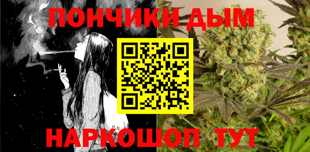 Бошки Шишки гибрид Новодвинск